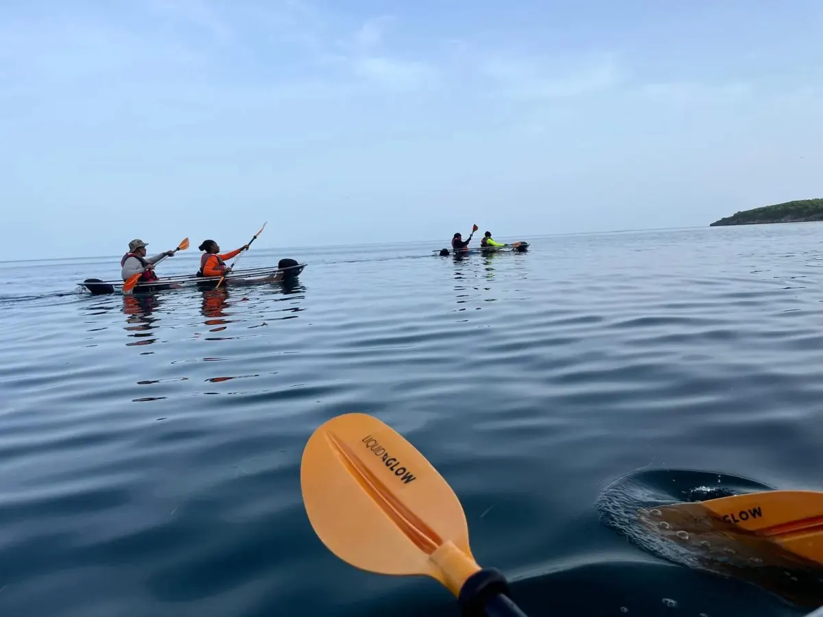 Guests paddling clear kayaks across calm open water in the morning